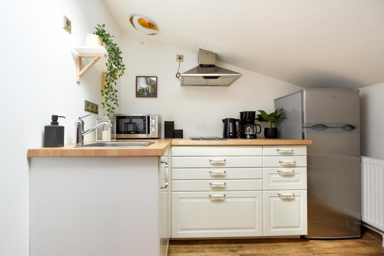 Plants Attic Studio - Best Location - Old Town Bucarest Extérieur photo