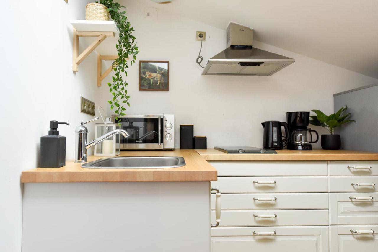 Plants Attic Studio - Best Location - Old Town Bucarest Extérieur photo
